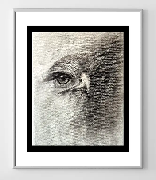 Bals Eagle Charcoal Illustration