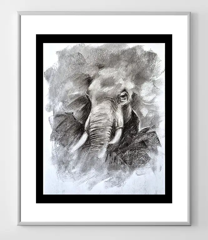 Elephant Charcoal Illustration