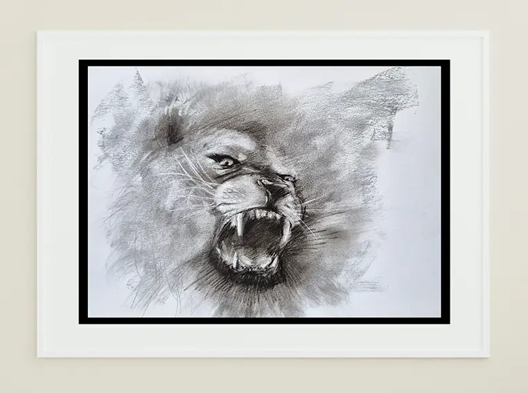 Lion Charcoal Illustration