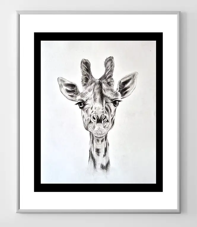 Giraffe Straight Ahead Charcoal Illustration