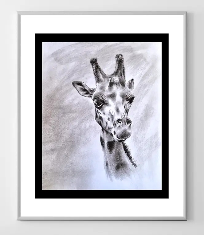 giraffe charcoal illustration